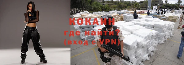 трава Аркадак