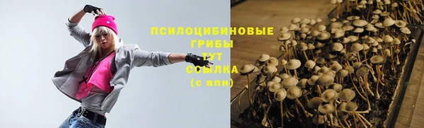 шишки Армянск