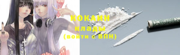 шишки Армянск