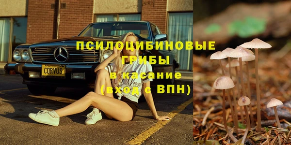 трава Аркадак