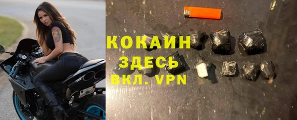 шишки Армянск